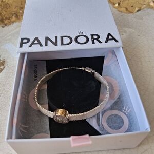 Pandora Gold and Silver Mesh Bracelet
